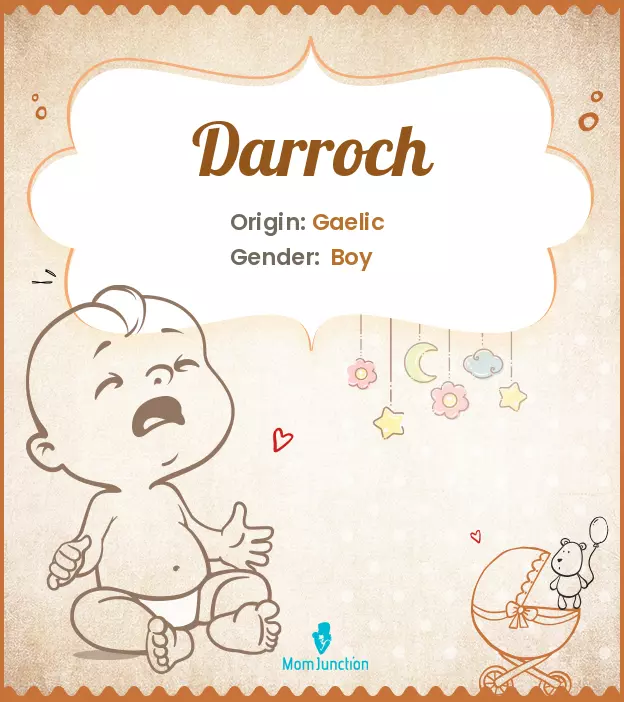 Explore Darroch: Meaning, Origin & Popularity_image