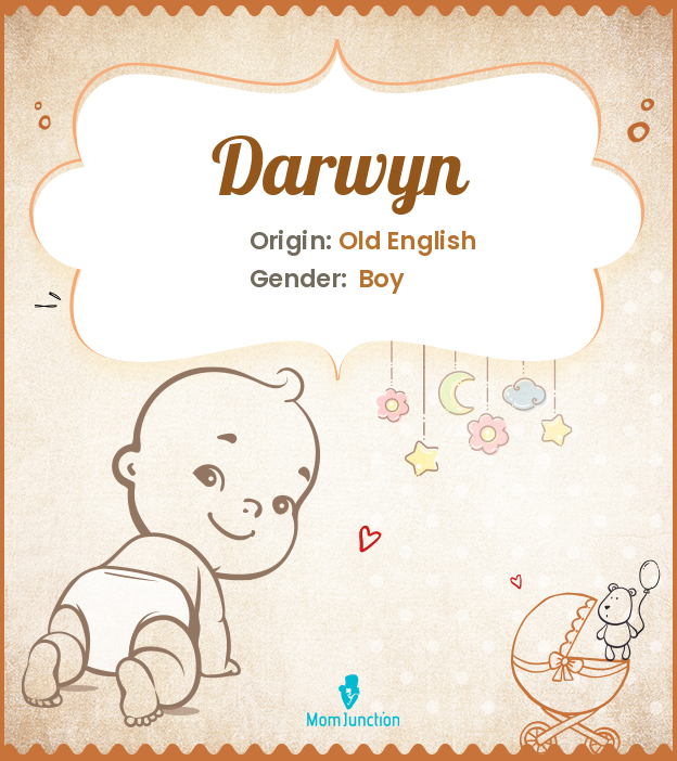 darwyn