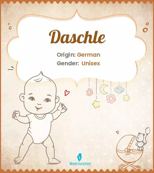 Explore Daschle: Meaning, Origin & Popularity | MomJunction