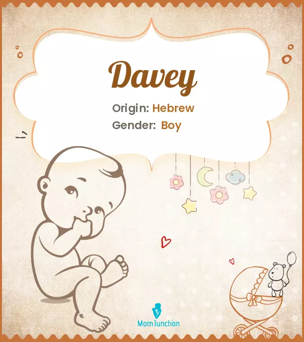 Explore Davey: Meaning, Origin & Popularity_image