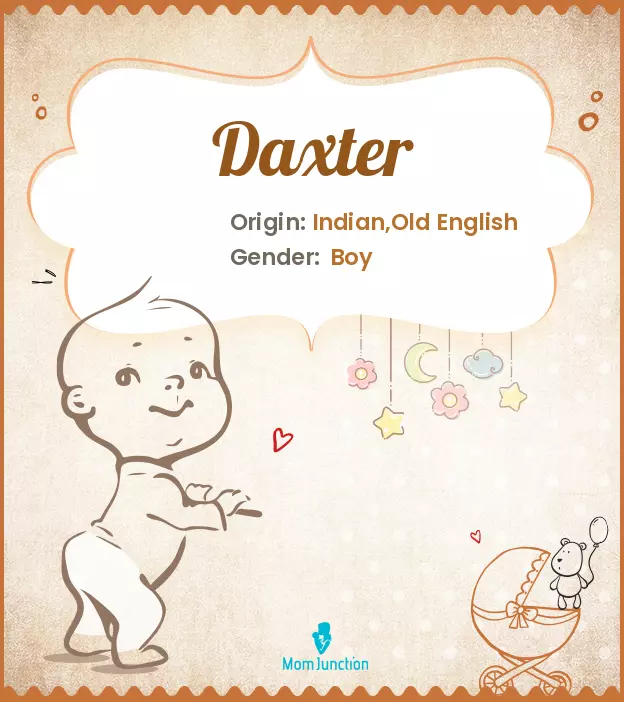 Explore Daxter: Meaning, Origin & Popularity | MomJunction
