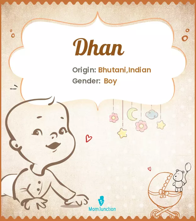 Explore Dhan: Meaning, Origin & Popularity | MomJunction