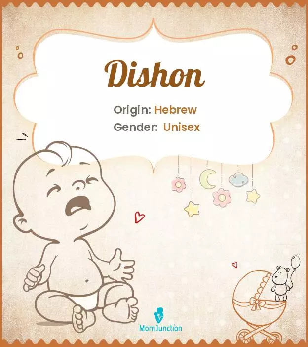 Explore Dishon: Meaning, Origin & Popularity_image