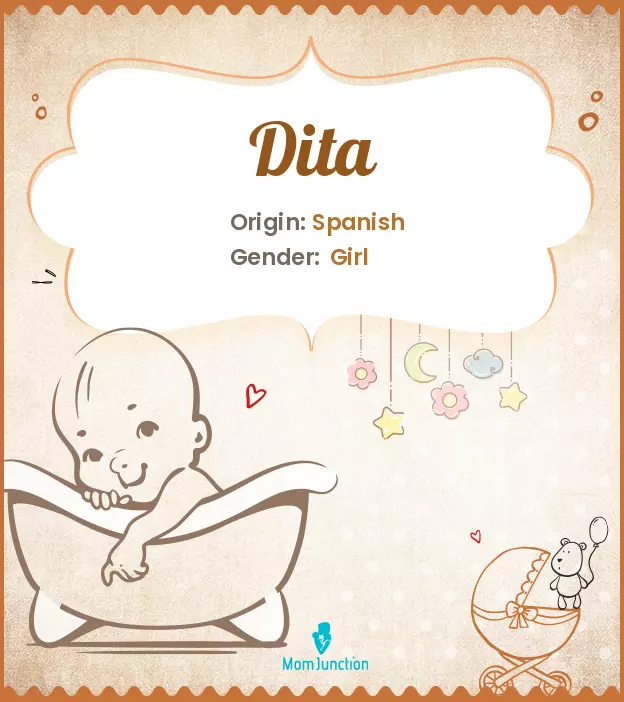 Explore Dita Meaning Origin Popularity 