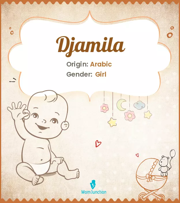 Explore Djamila: Meaning, Origin & Popularity_image