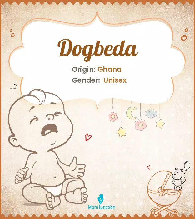 Dogbeda_image