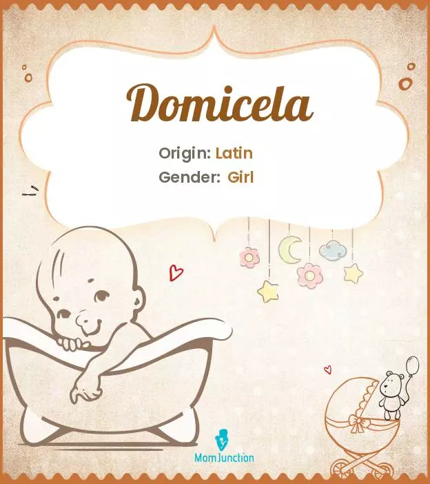 domicela_image