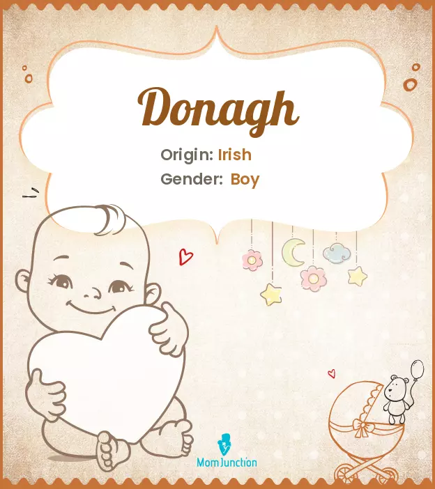 Explore Donagh: Meaning, Origin & Popularity_image