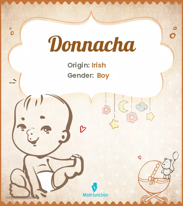 Explore Donnacha: Meaning, Origin & Popularity_image