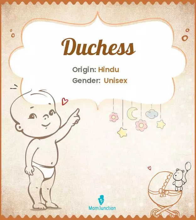 Explore Duchess: Meaning, Origin & Popularity_image