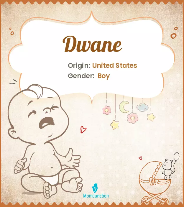 Explore Dwane: Meaning, Origin & Popularity | MomJunction