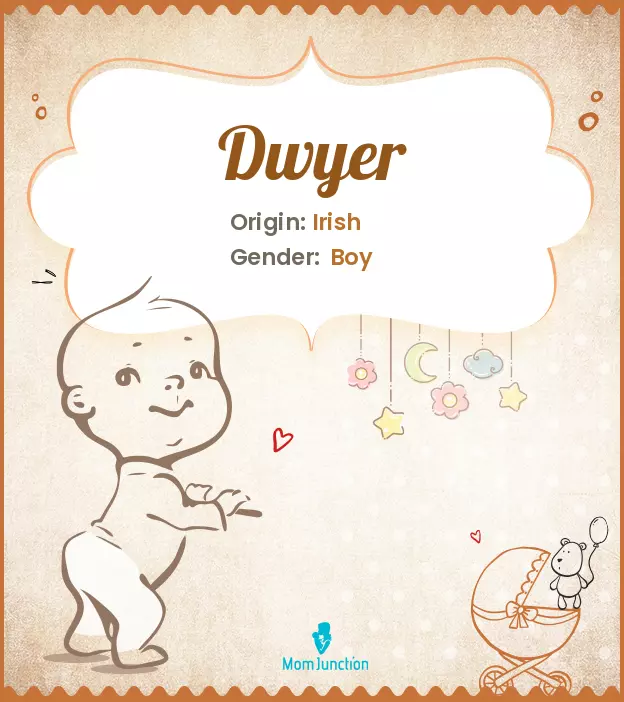 Explore Dwyer: Meaning, Origin & Popularity | MomJunction