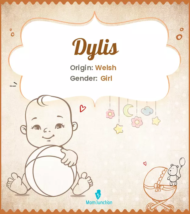 dylis_image