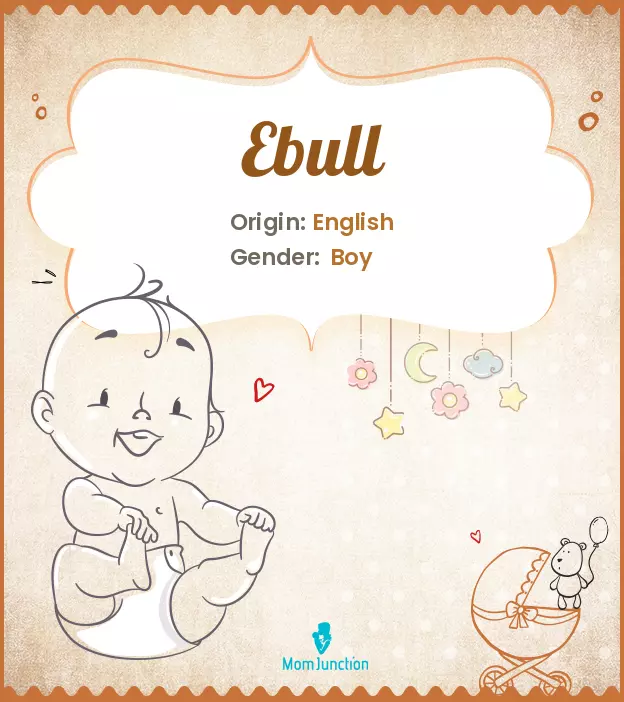 ebull_image