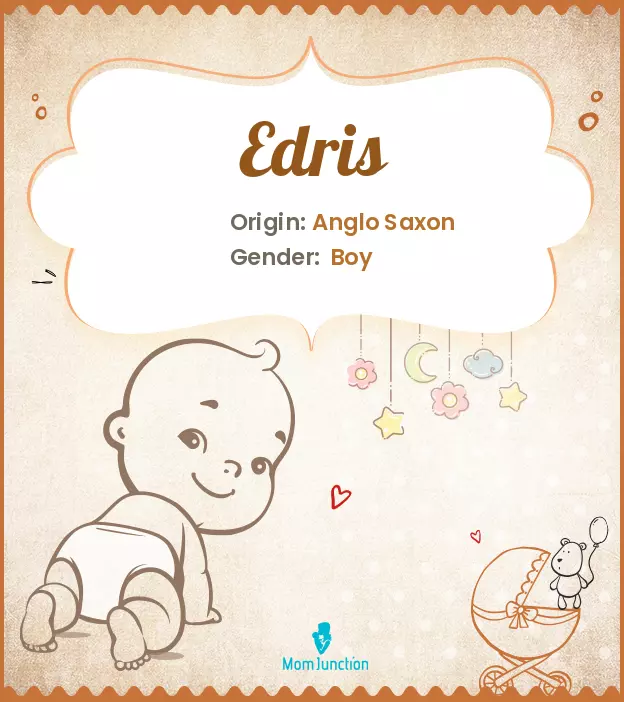 Edris Name Meaning, Origin, History, And Popularity_image