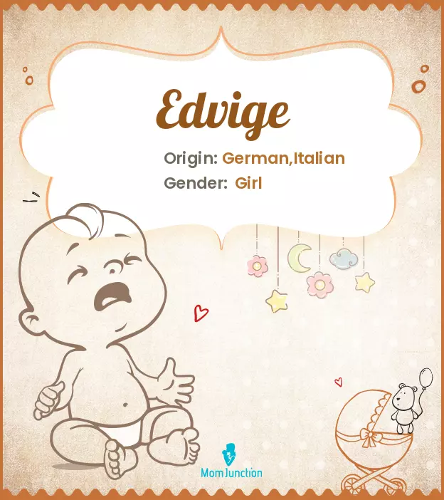 edvige_image