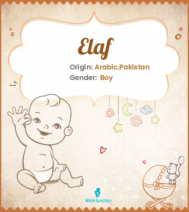 Explore Elaf: Meaning, Origin & Popularity_image