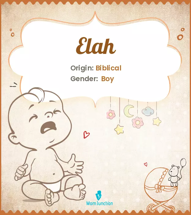 Explore Elah: Meaning, Origin & Popularity | MomJunction