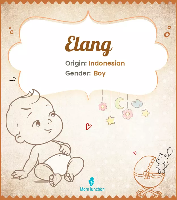 Elang_image