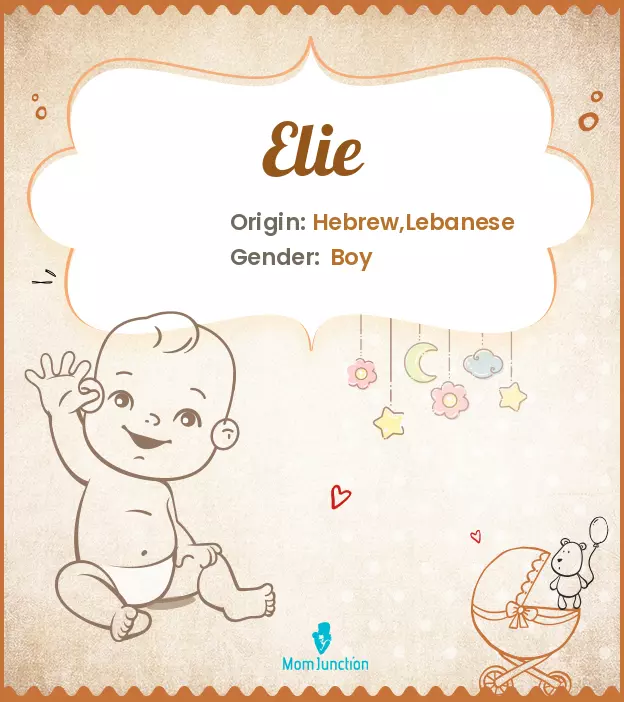 Explore Elie: Meaning, Origin & Popularity | MomJunction