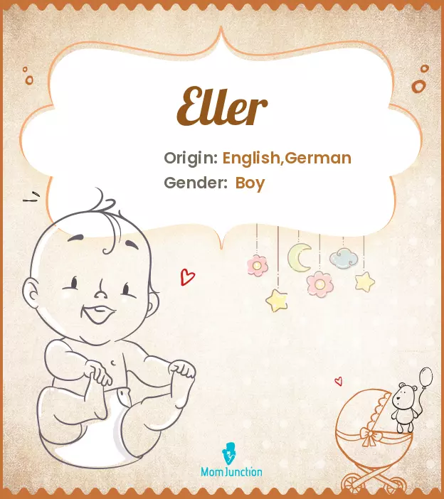 Explore Eller: Meaning, Origin & Popularity_image