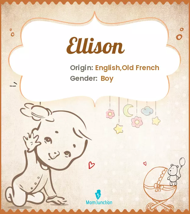 Ellison Name, Meaning, Origin, History And Popularity | MomJunction