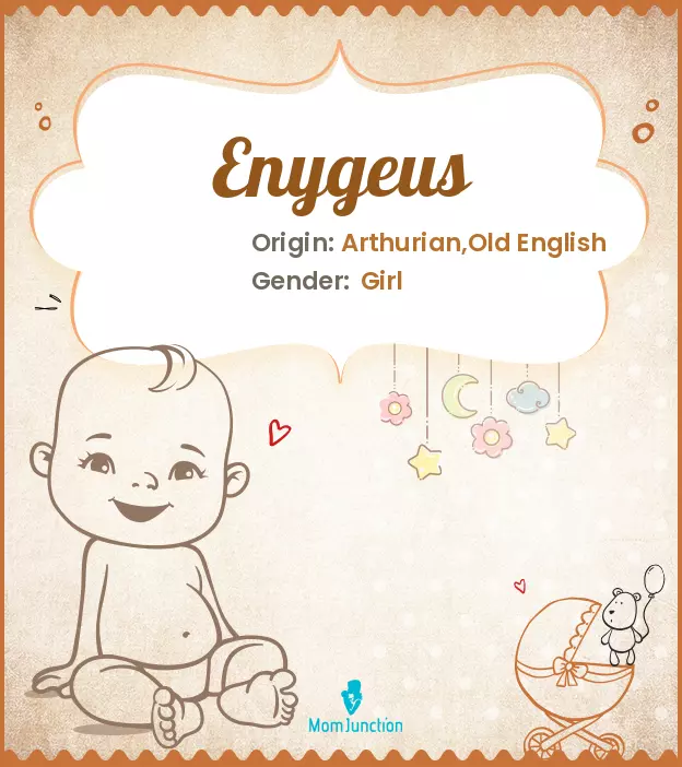 Enygeus_image