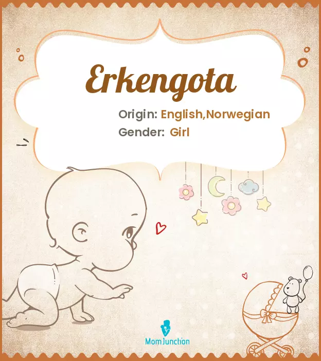 erkengota_image