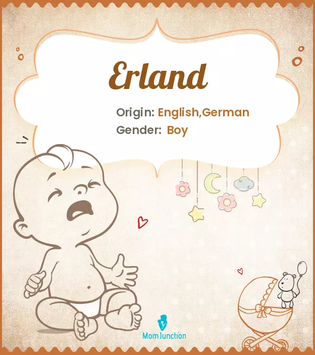Explore Erland: Meaning, Origin & Popularity | MomJunction