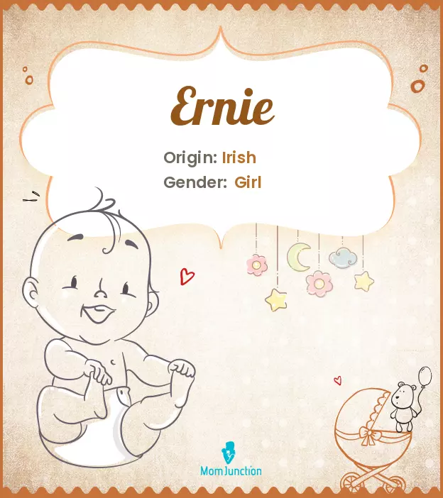 Explore Ernie: Meaning, Origin & Popularity_image