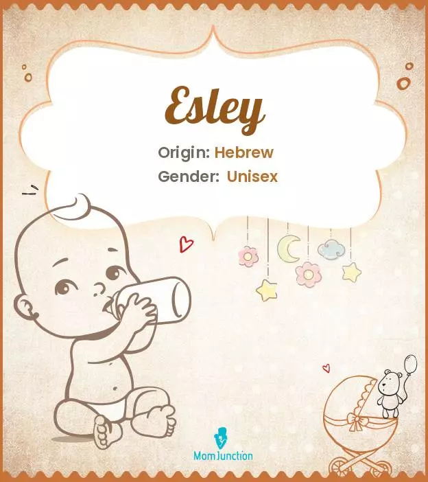 Explore Esley: Meaning, Origin & Popularity_image