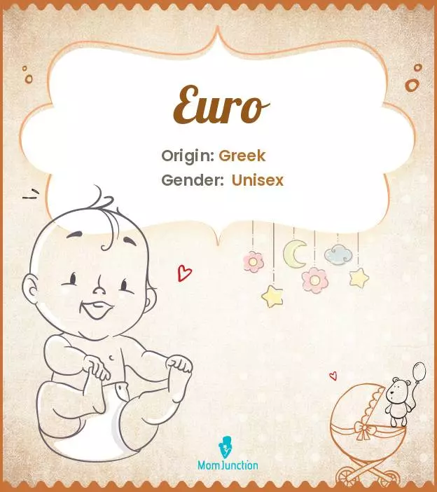 Baby Name Euro Meaning, Origin, And Popularity