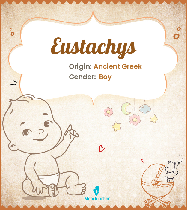 Eustachys