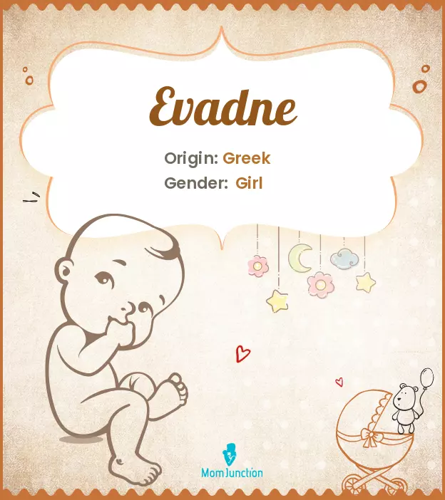 Explore Evadne: Meaning, Origin & Popularity | MomJunction