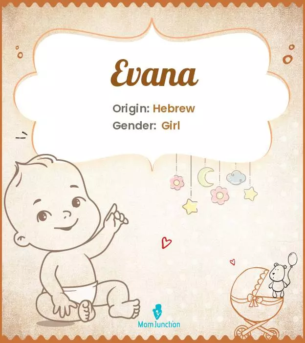 Explore Evana: Meaning, Origin & Popularity | MomJunction
