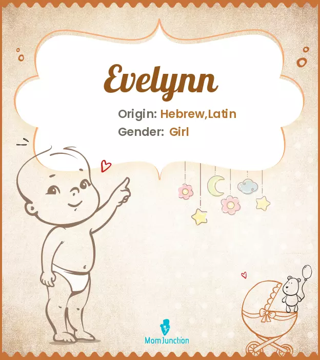 evelyn