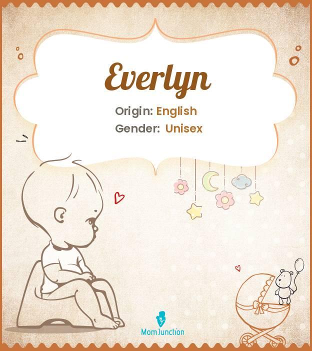 Explore Everlyn: Meaning, Origin & Popularity_image