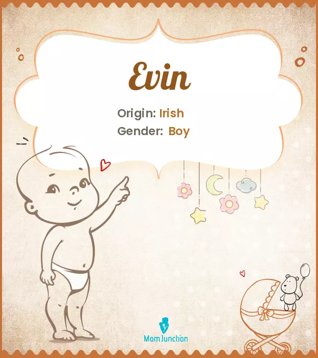 Explore Evin: Meaning, Origin & Popularity | MomJunction