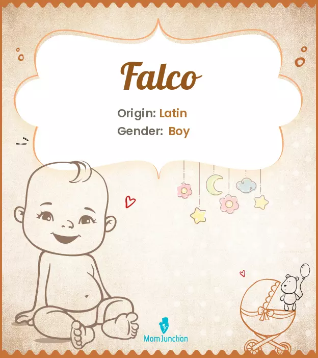 Explore Falco: Meaning, Origin & Popularity_image