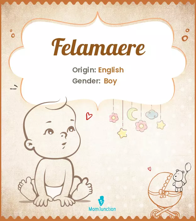 felamaere_image