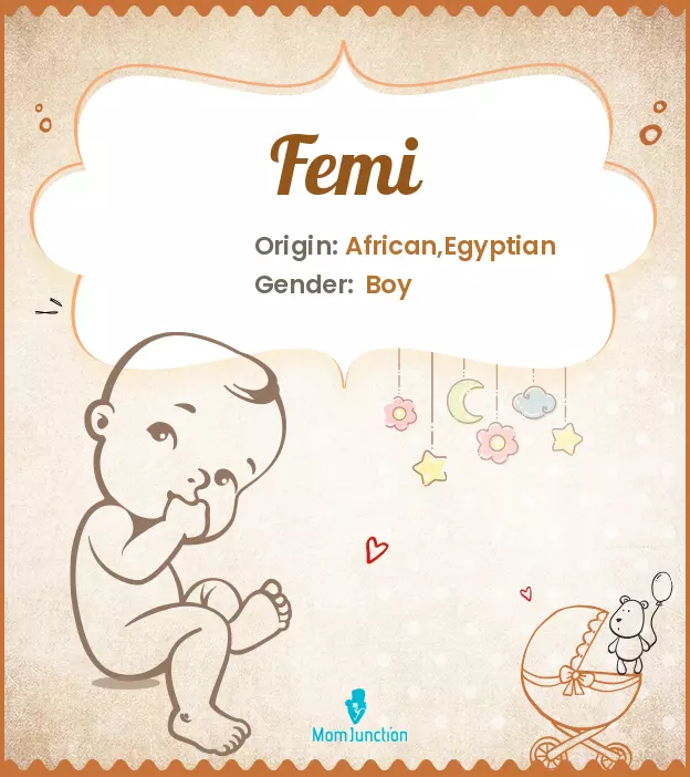 Explore Femi: Meaning, Origin & Popularity_image