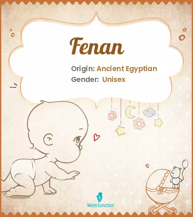 Baby Name Fenan Meaning, Origin, And Popularity