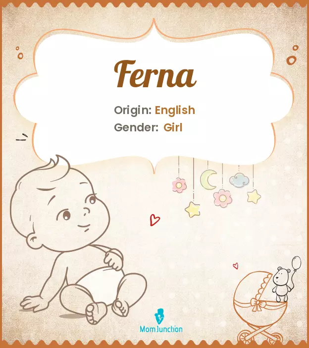 Explore Ferna: Meaning, Origin & Popularity | MomJunction