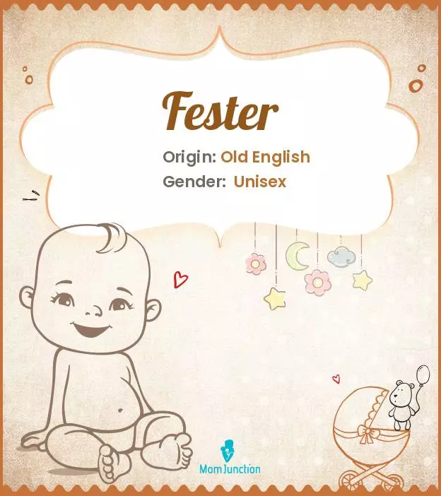 Explore Fester: Meaning, Origin & Popularity | MomJunction