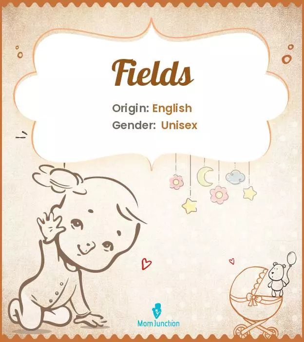 Explore Fields: Meaning, Origin & Popularity_image