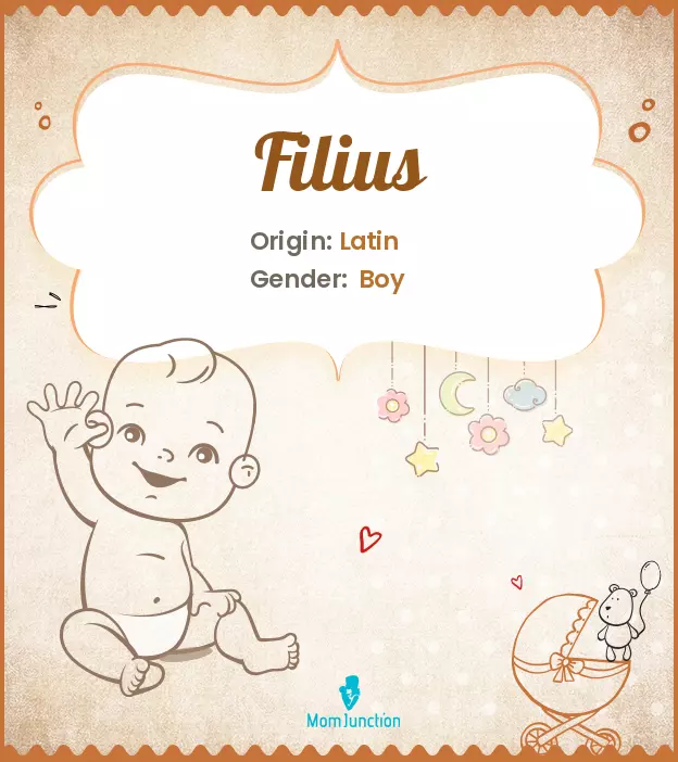 Explore Filius: Meaning, Origin & Popularity | MomJunction