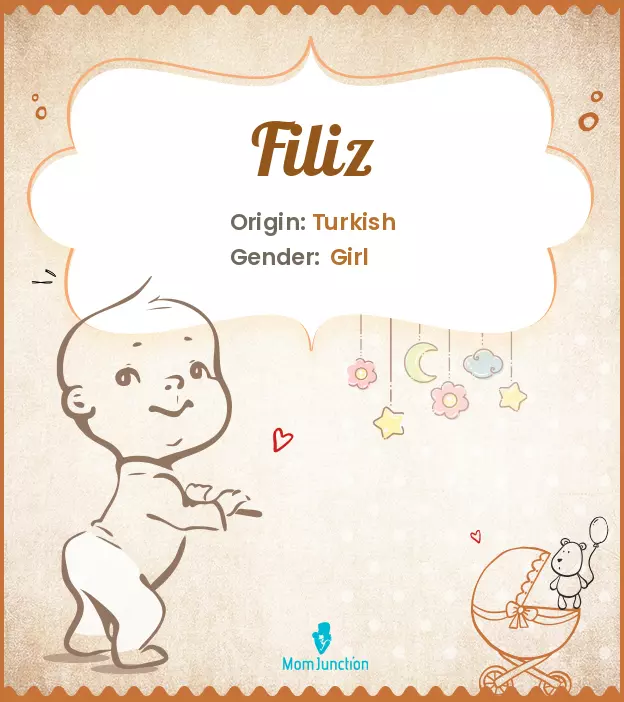 Explore Filiz: Meaning, Origin & Popularity_image