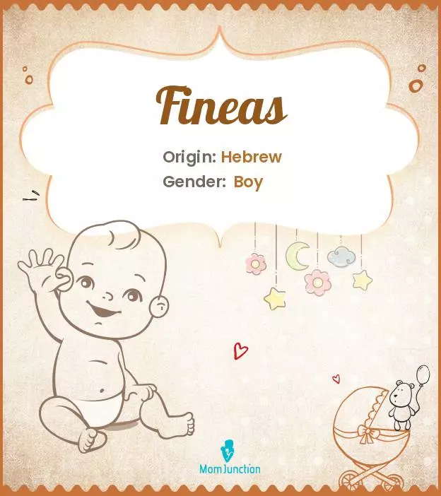 Explore Fineas: Meaning, Origin & Popularity_image