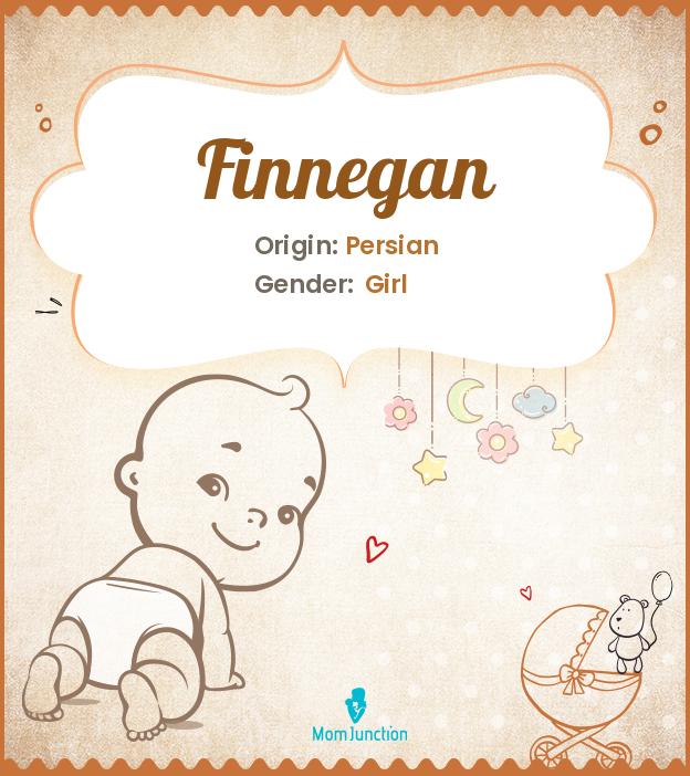 finnegan finnegan