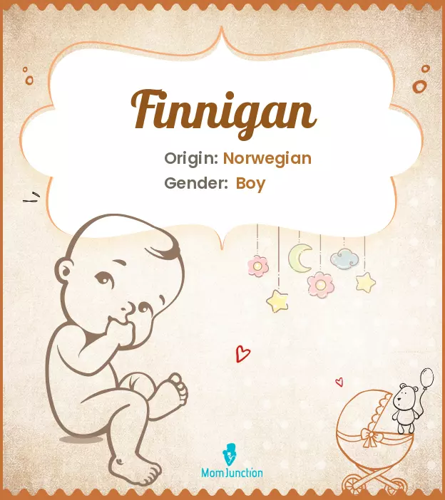 Finnigan: Name Meaning, Origin, History, And Popularity ...